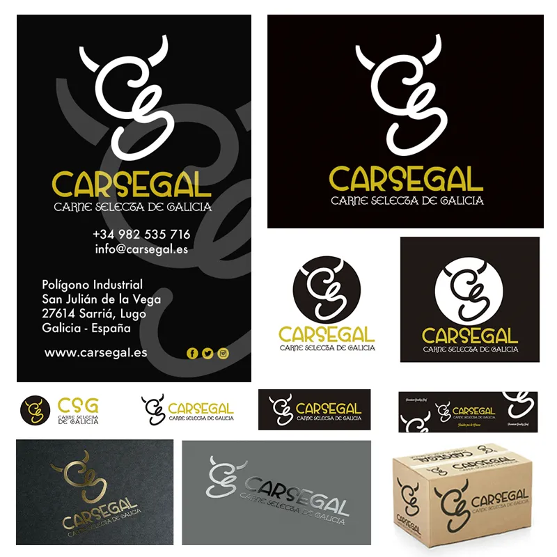 diseño-carsegal-edlh-corporativa