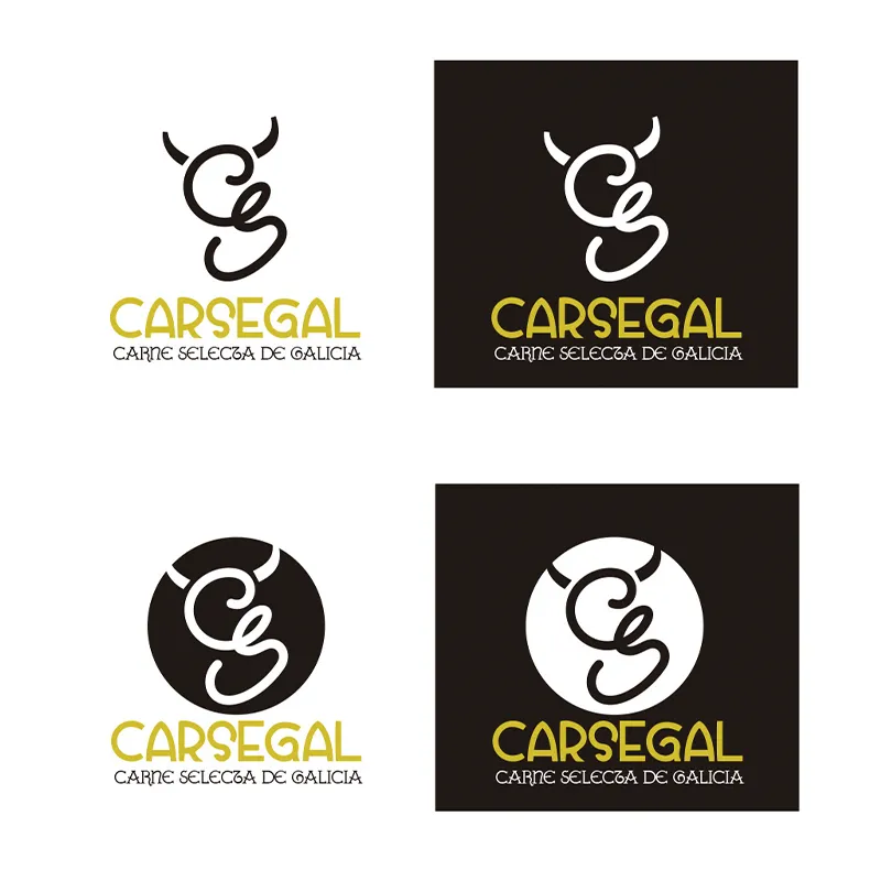 diseño-carsegal-edlh-identidad-corporativa copia