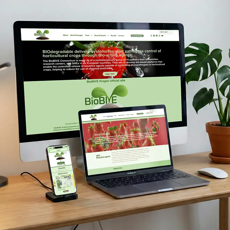 Diseño y Publicación web Estudio de la Huerga