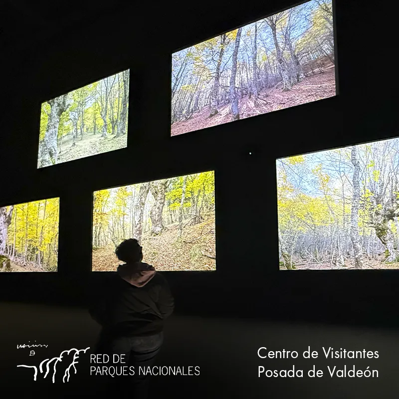 montaje-audivisual-centro-visitantes-valdeon-002