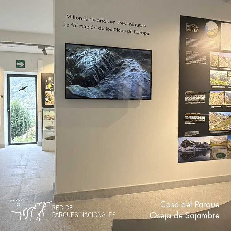 videos-museo-parque-natural-oseja-001